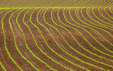 Foto: 63408, DerGrafischer Quelle: Photocase.com